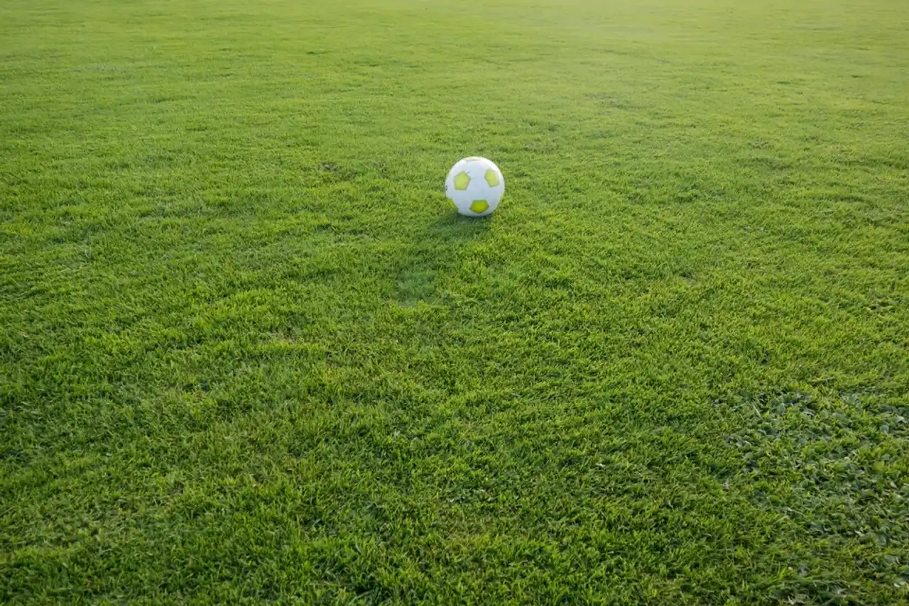 Ballon de football posé au centre d’une pelouse de terrain de sport